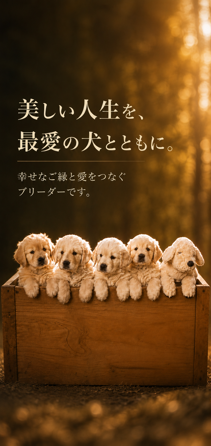 美しい人生を、最愛の犬とともに。